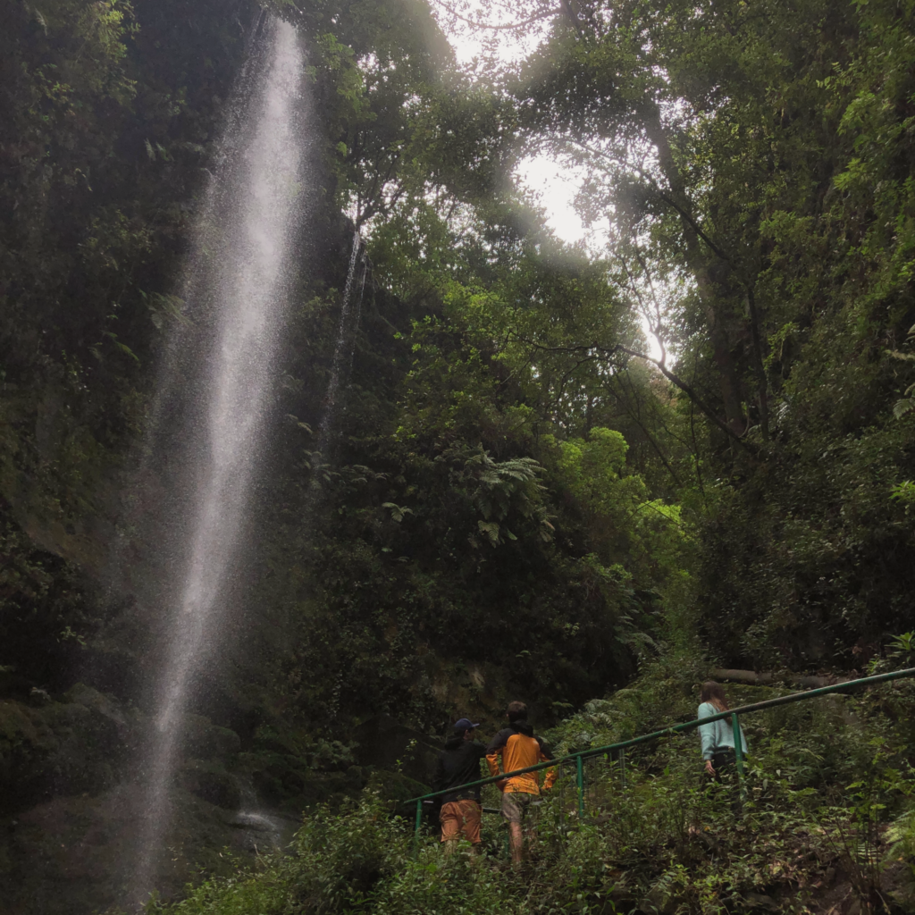 Cascade de Los Tilos a La Palma